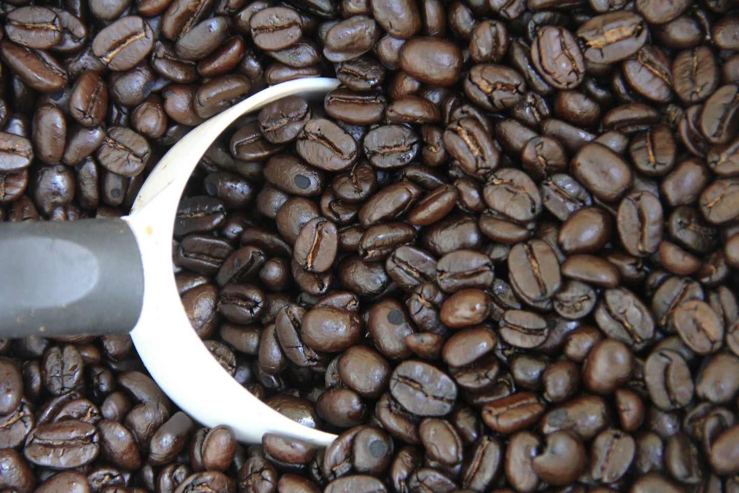 Nicaragua - Dark Roast